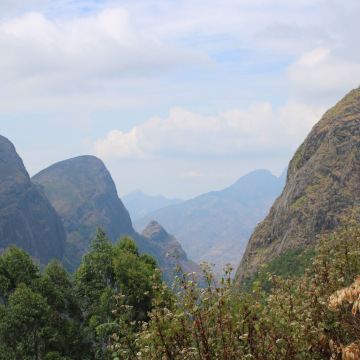 Mountain valley private forest